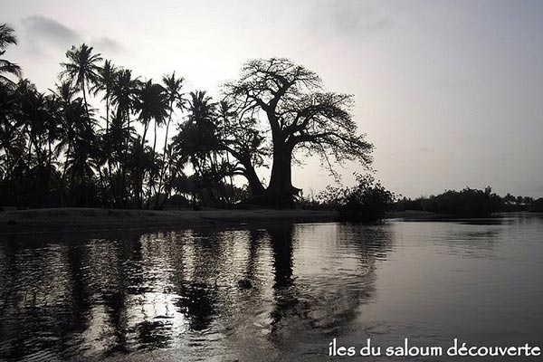 Les îles du Sine et du Saloum